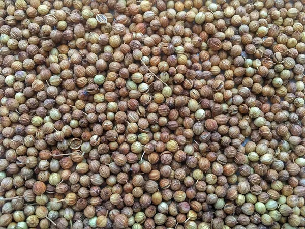 Coriander Seed, Coriandrum sativum, many seeds closeup detail