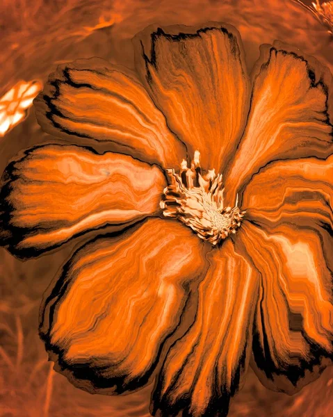 Σχέδιο από όμορφο μεγάλο αφηρημένο πορτοκαλί λουλούδι close-up — Φωτογραφία Αρχείου