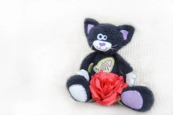 Funny Plyush gato negro sentado sobre un fondo claro contiene una rosa roja —  Fotos de Stock