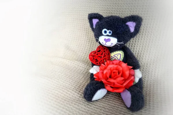 Funny Plyush czarny kot siedzi na jasnym tle zawiera czerwoną różę — Zdjęcie stockowe