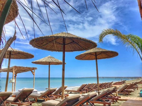 Un grupo de sillas de césped y sombrillas de caña del sol sentado en la parte superior de una playa — Foto de Stock