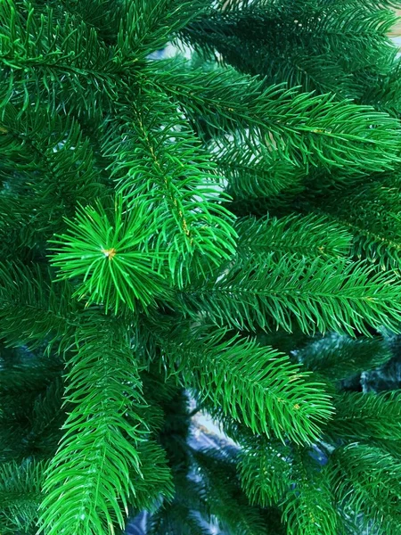 Вертикальное фото ветвей зеленой ели крупным планом . — стоковое фото