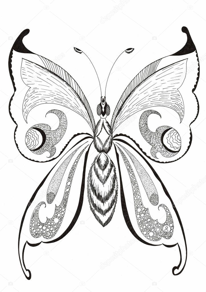 Hand drawn in black ink stylized butterfly on a white background. 