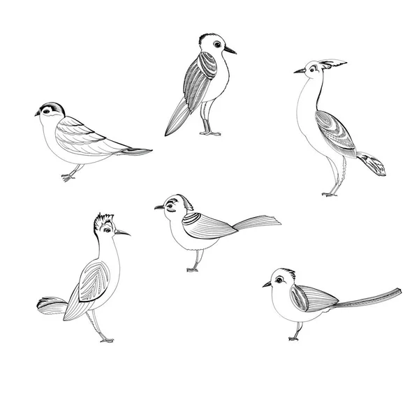 Six Oiseaux Isolés Sur Fond Blanc Dessinés Encre Noire — Image vectorielle