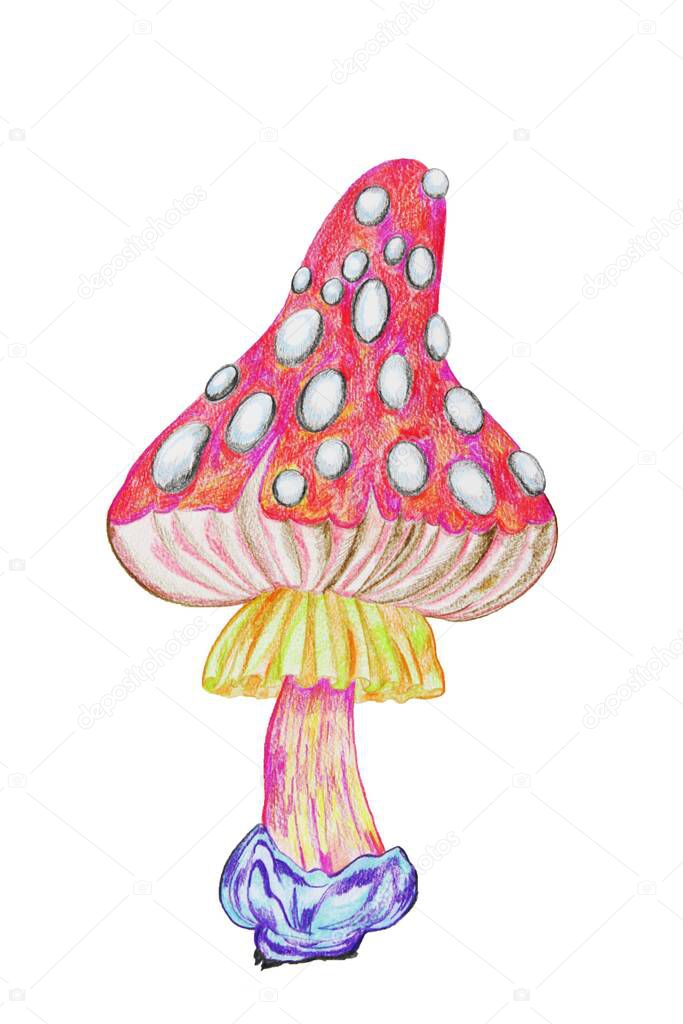 Mushroom from the magic forest drawn with colored pencils.