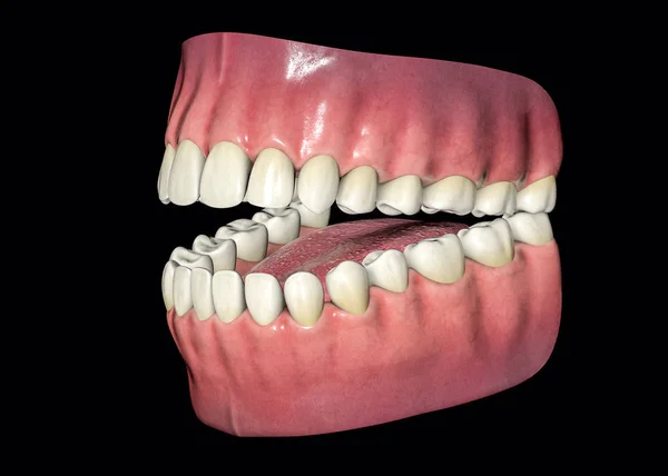 3D isolierte Zähne. zahnärztliches Versorgungskonzept — Stockfoto