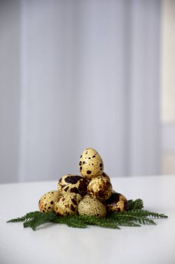 Çimen bir çelenk yuvasında bıldırcın yumurtası