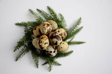 Çimen bir çelenk yuvasında bıldırcın yumurtası