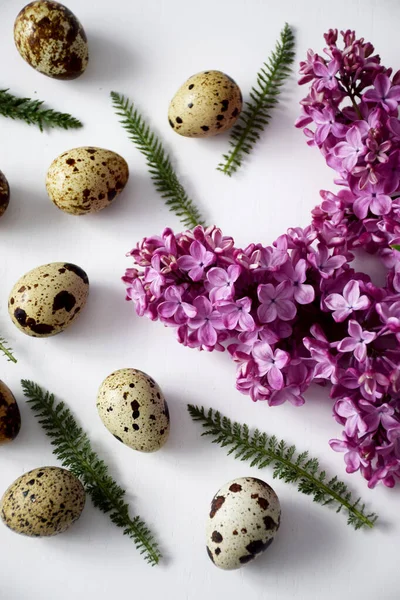 Leylak dalının yanında yapraklı bıldırcın yumurtası.