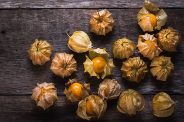 Cape bektaşi ahşap arka plan üzerinde