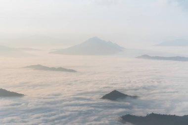 Sis ve bulut dağ vadisi manzarası