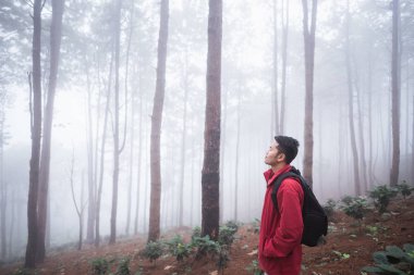 çam ormanı kışın adam seyahat