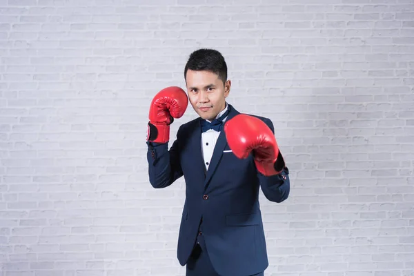 man wearing suit and boxing gloves on gray background