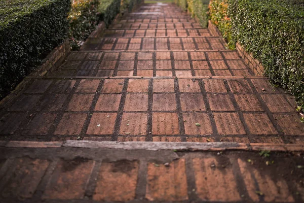 Stairs in the park in the evening — Stock Photo, Image