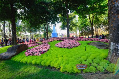 Chiang Rai, Tayland - 02 Ocak 2016: çiçek, çiçek açan