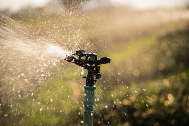 Su Fıskiyesi yeşil çay çiftlik, doğa yeşil çay kavramı çalışma