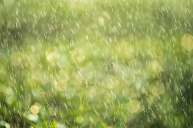 bokeh arka plan, arka plan kavramı