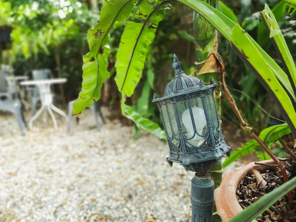 close up of vintage outdoor lamp in the garden