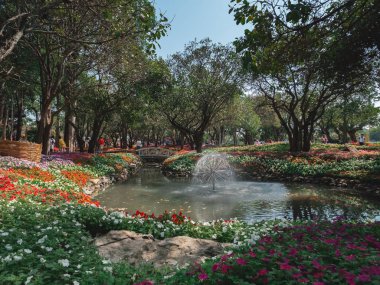 01 Ocak 2020, gezgin Fl 'da güzel çiçekleri görmek için yürüyor.