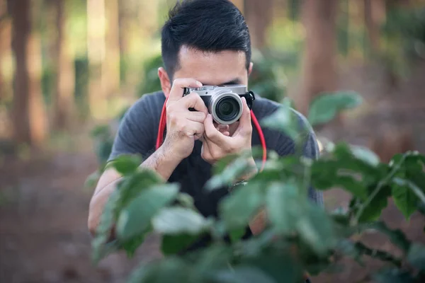 Fotograf Fotografiert Wald — Stockfoto