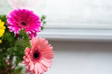 pembe çiçekler yukarıdan yakın görünüm