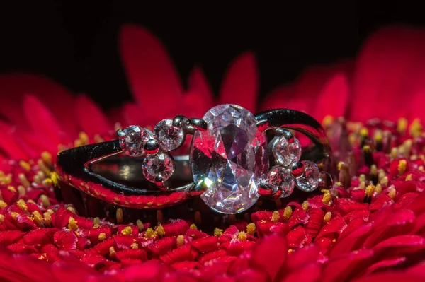 Silberner Diamant Verlobungsring Liegt Auf Roter Blume — Stockfoto