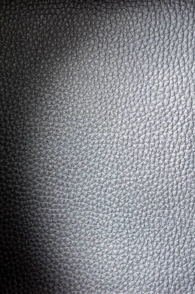 Nero Grande Texture Della Pelle Con Ombre — Foto Stock