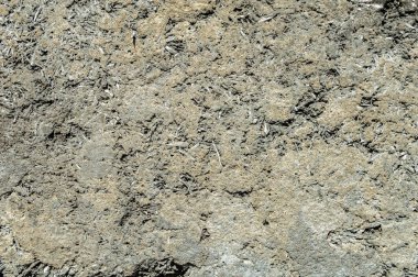 Betonlu talaş dokusu