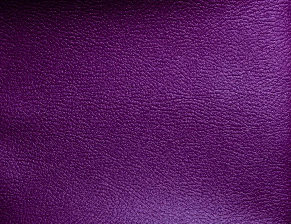 紫色人造皮革 真皮质感近视 图库图片