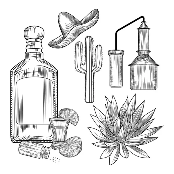 En uppsättning tequila. Skott glas och flaska tequila, salt, lime, blå agave, koppar kub, sombrero, kaktus. — Stock vektor