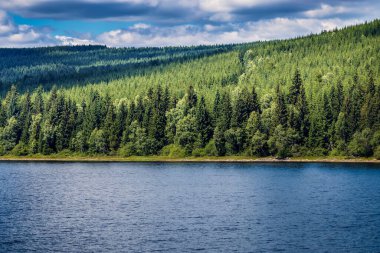 Çek Cumhuriyeti, Kuzey Bohemya 'daki Jizerske Hory' da 