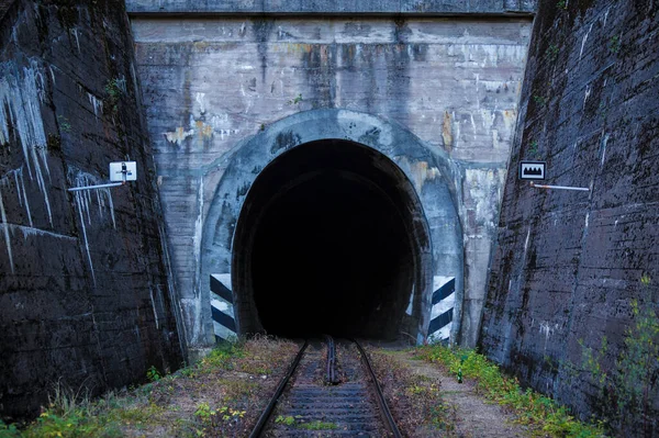 Cog Chemin Fer Ancien Tunnel — Photo