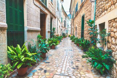 Çiçek sokağında dar bir sahil kenti. Sokakta bir sürü yeşil çiçek var.