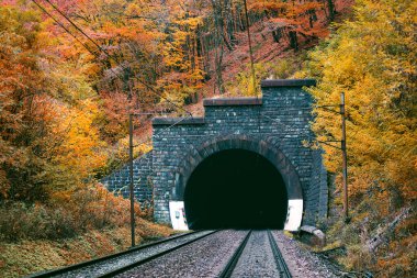 Railway tunnel in autumn forest. Bujanovsky tunel/Bujanov tunnel from Ruzin