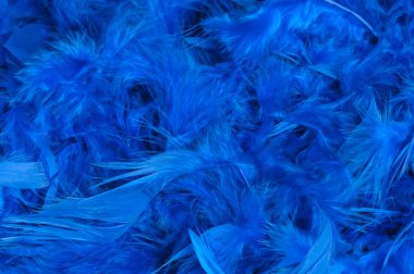 Doku mavisi tüyler bohem bohem tarzı vintage renk trendleri, tavuk tüyü parlak doku arka planı