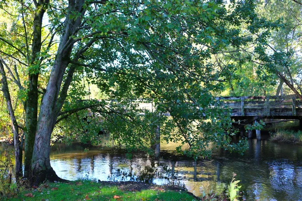 Een Houten Brug Een Beboste Rivieroever — Stockfoto