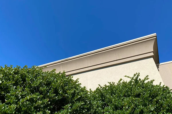 the diagonal top corner of modern building with roof line and shrubs and small trees