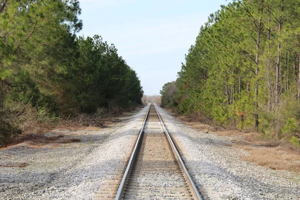 Bahngleise Führen Die Ferne Mit Üppigem Wald Daneben — Stockfoto