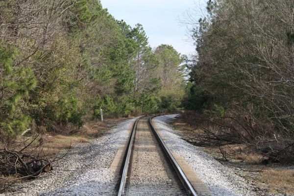 Blick Auf Geschwungene Bahngleise Die Wald Und Flur Führen — Stockfoto