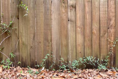 Yere dökülen yaprakları olan eski bir ahşap çit.