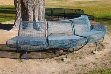 Bir ağacı çevreleyen eski bir yeşil park bankı