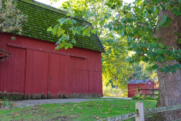 Mosstäckt Röd Gård Lada — Stockfoto