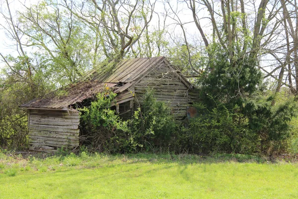 Une Prairie Verdoyante Avec Une Grange Abandonnée — Photo