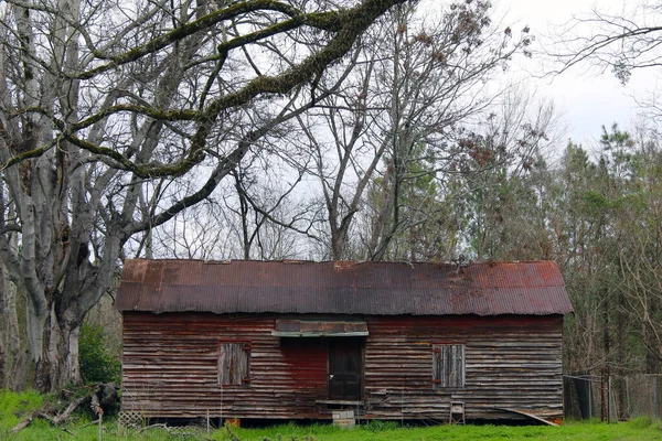 Een Roestige Tinnen Dak Schuur Met Oude Bomen Vers Gras — Stockfoto