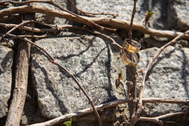 Arka planda alyanslar, düğün fotoğrafları.