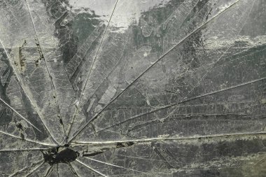 Cam dokusu, çatlak, toz ve çizikler, yakın plan.