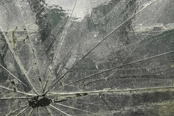 Cam dokusu, çatlak, toz ve çizikler, yakın plan.