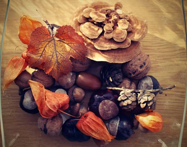 Sonbahar sakin bir hayat.