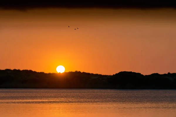 Ducks Flying Lake Dawn — Stock Photo, Image