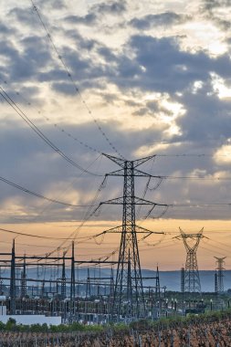 Arkasında güzel bir gökyüzü olan üzüm bağlarıyla çevrili yüksek voltajlı elektrik santrali.